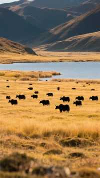 雪山倒映碧湖中,這片秘境美得不像人間