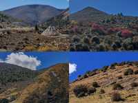 理塘至稻城亞丁,每一幀都是視覺盛宴!