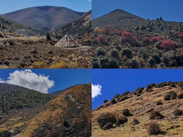 理塘至稻城亞丁,每一幀都是視覺盛宴! 理塘至稻城亞丁,每一幀都是視覺盛宴!