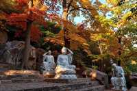 密雲私藏紅葉秘境0元門票拍爆99+讚的秋日大片