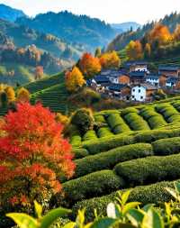 《國家地理》點名的“四川最美村落〞|“小喀納斯〞般的湖光山色