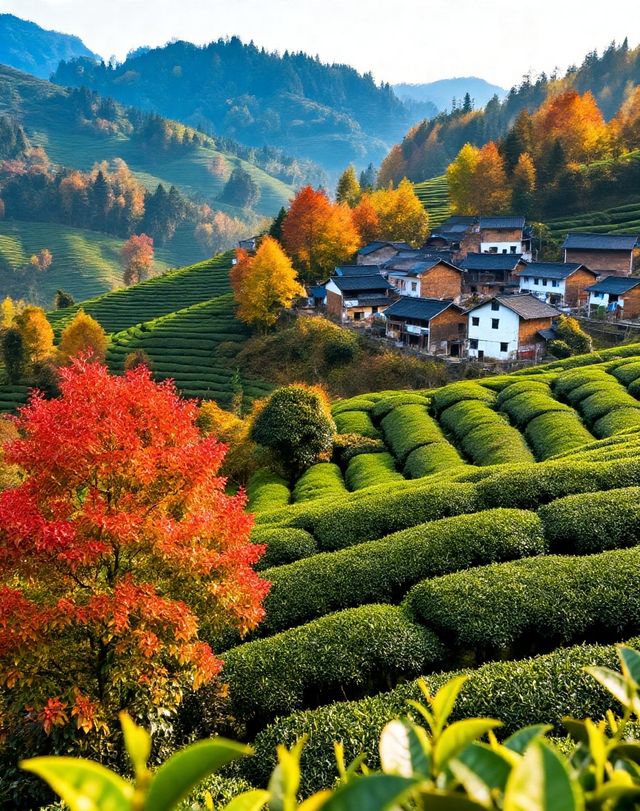 《國家地理》點名的“四川最美村落〞|“小喀納斯〞般的湖光山色