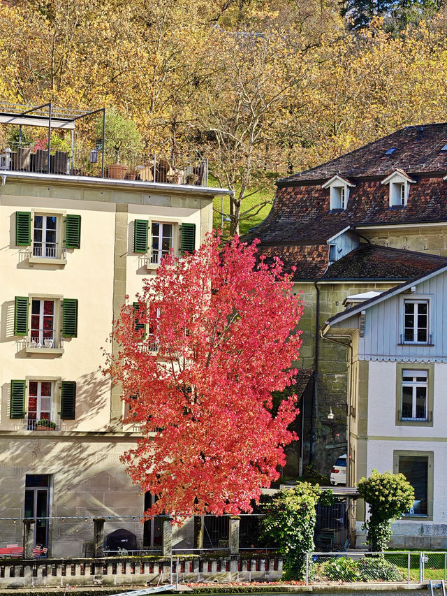 瑞士的秋自帶濾鏡|4天3晚不踩雷攻略 瑞士的秋自帶濾鏡|4天3晚不踩雷攻略