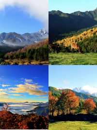 神木壘川西秘境中的森林、草甸與雪山盛宴