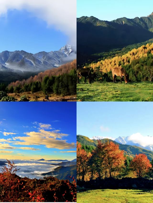 神木壘川西秘境中的森林、草甸與雪山盛宴