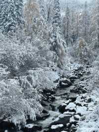 達古冰川旅遊攻略
