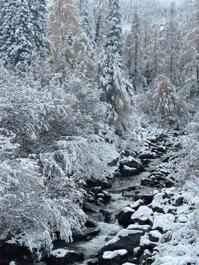 達古冰川旅遊攻略