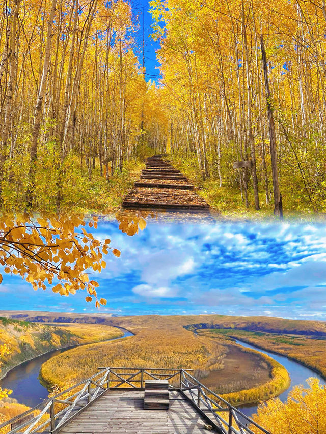 大興安嶺森林探秘