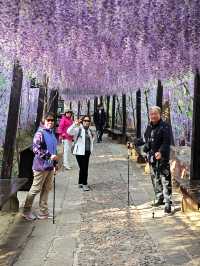 抬頭便是銀河落九天雲台山泉瀑峽