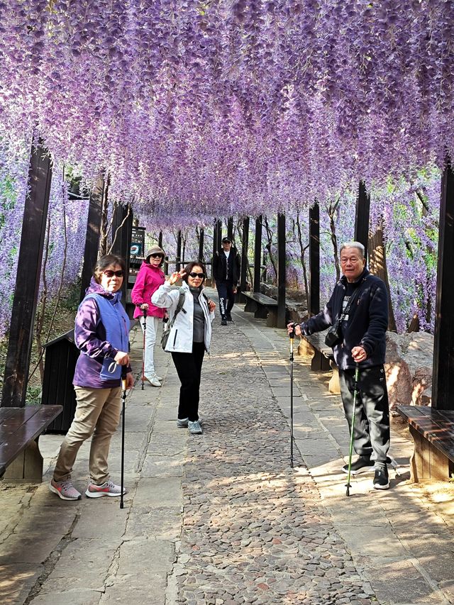 抬頭便是銀河落九天雲台山泉瀑峽
