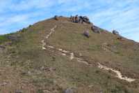 香港大東山,秋日芒草的夢幻之旅!