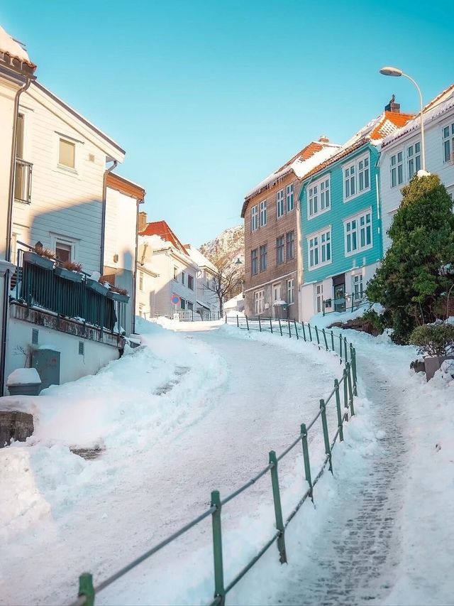 卑爾根冬日旅行攻略 卑爾根冬日旅行攻略