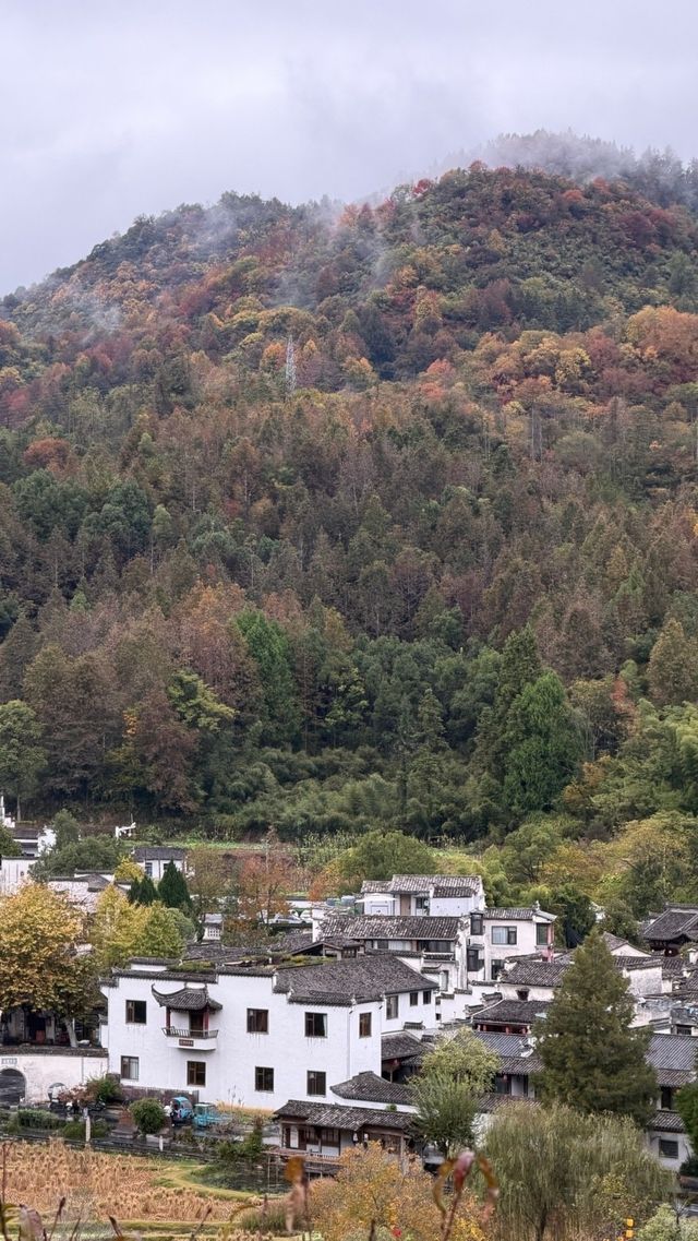 徽州古城秋日漫步