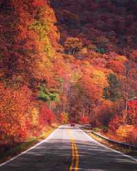 俄譯芳名藏古韻，鍋盔山秋醉亞布力