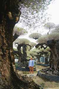 大膽預測這片奇幻森林將成為廣佛新頂流