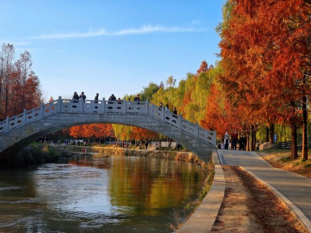 “塞納河”畔曬太陽 “塞納河”畔曬太陽