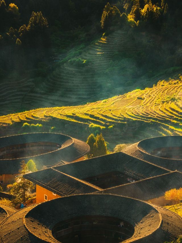 漳州淡季漫遊指南,小眾玩法快收藏! 漳州淡季漫遊指南,小眾玩法快收藏!