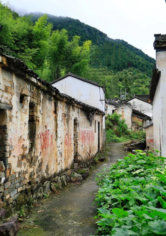 歙縣霞坑鎮察坑村：藏在皖南山水間的千年詩意