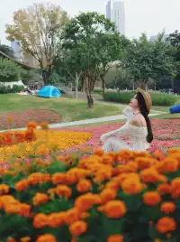 深圳地鐵直達的彩虹花海!這個公園太寶藏