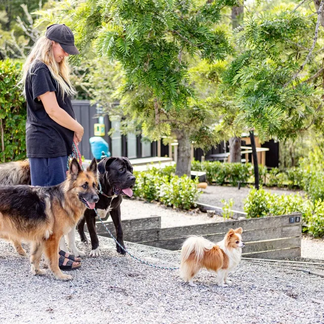 Brick Bay · 和毛孩子的森林時光 Brick Bay · 和毛孩子的森林時光