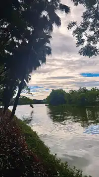 社恐狂喜！東門早8點入園我承包了整片天柱岩