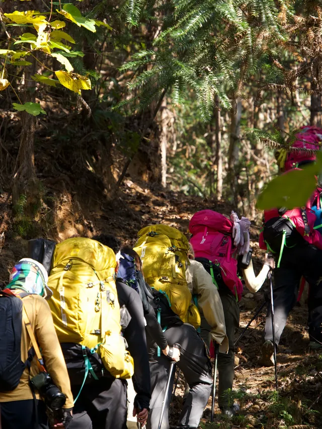 現在徒步正好|帶上搭子,來這裡與秋天約會 現在徒步正好|帶上搭子,來這裡與秋天約會