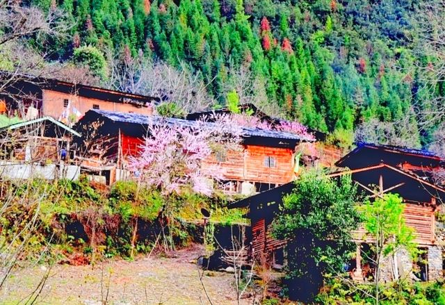 雲南怒江-霧裡村 雲南怒江-霧裡村