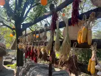 銅陵永泉小鎮二日遊