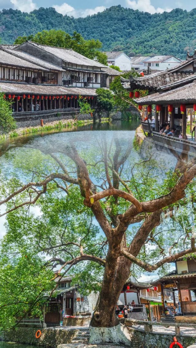 逃離人海計劃 來麗水古街做一日畫中人吧