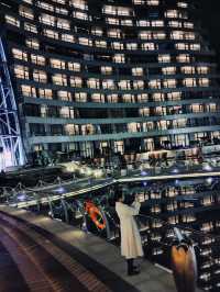 聖誕樹下的浪漫許願夜