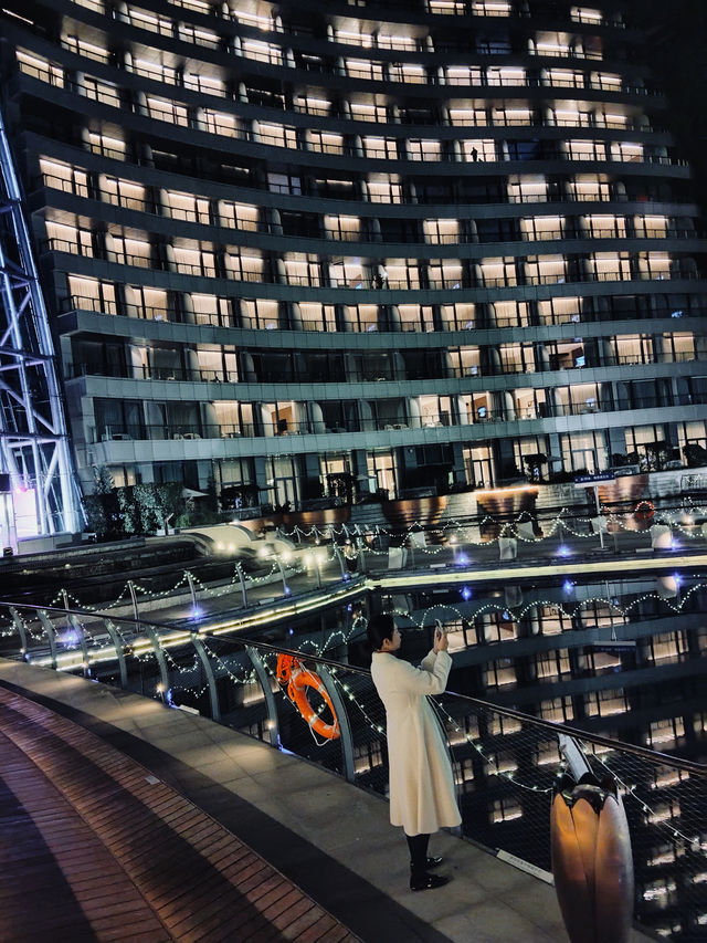 聖誕樹下的浪漫許願夜 聖誕樹下的浪漫許願夜