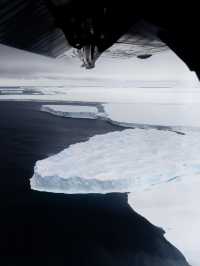 2026南極點中文團！超稀缺名額看帝企鵝