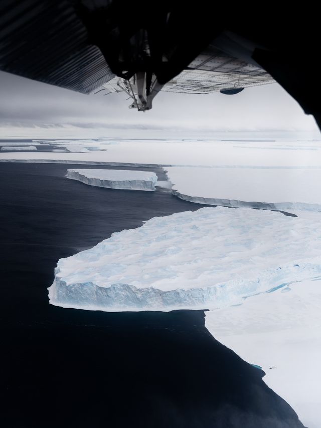 2026南極點中文團！超稀缺名額看帝企鵝