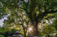 住進桂林山水畫裡｜香格里拉把江南園林