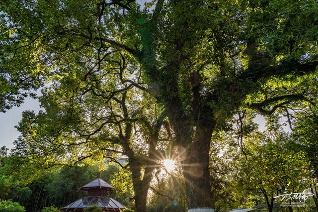 住進桂林山水畫裡｜香格里拉把江南園林