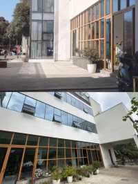 躲進安吉山野！合子美宿把鬆弛感焊在骨子裡