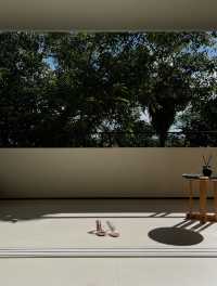 房間很大，酒店很小｜住進西雙版納的熱帶雨林裡度假