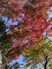 莫干山的正確打開方式