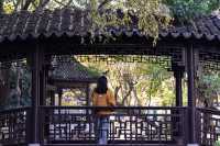 初冬念想｜在翁家花園邂逅一場銀杏雨下的時光靜止