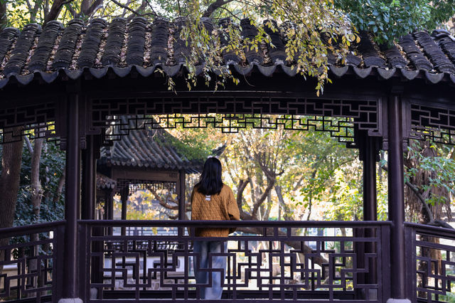 初冬念想｜在翁家花園邂逅一場銀杏雨下的時光靜止