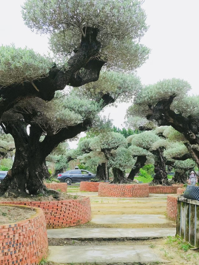 原來佛山都有中山公園? 原來佛山都有中山公園?
