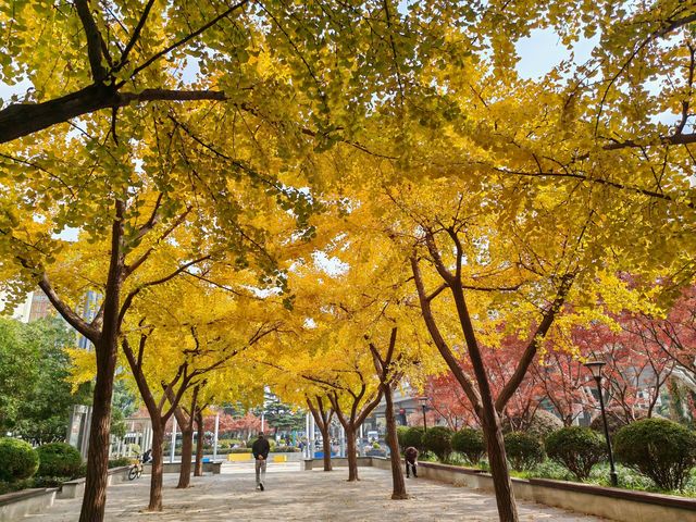 又一個公園透綠