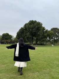 每個來玄武湖的朋友都被我帶到這裡