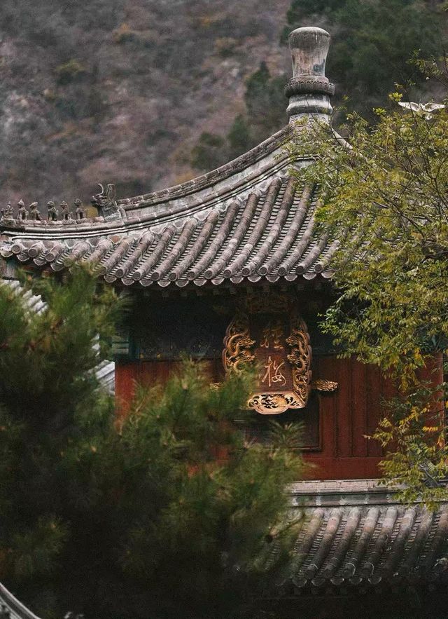 稷山酒店套房攻略