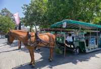 天津五大道,必打卡西洋建築街