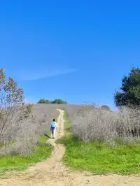 洛杉磯隱藏版城市青丘Ascot Hills Park