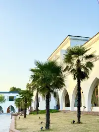 娃在加順農場當農夫，我在芷嵐秋看湖光發呆