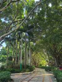 秘境小徑探湖之旅