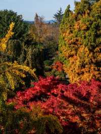 加拿大10天｜保姆級玩法避雷指南