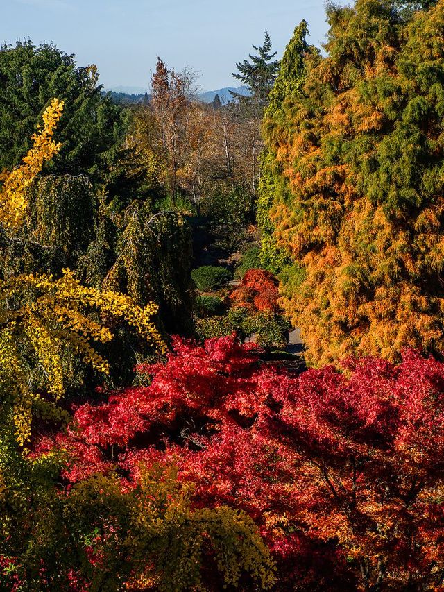 加拿大10天｜保姆級玩法避雷指南